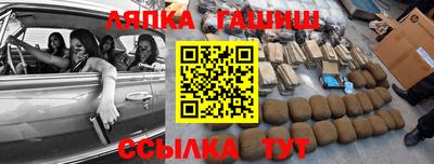 дмт Аргун