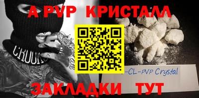 дмт Аргун