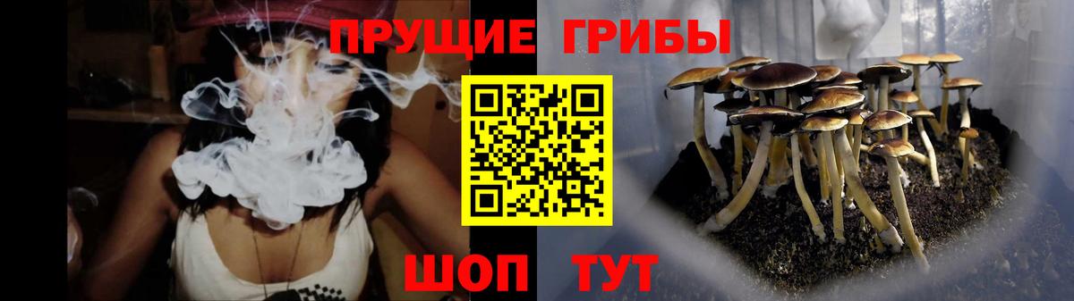 Галлюциногенные грибы мухоморы  Вход с VPN  Апрелевка  Галлюциногенные грибы Psilocybine cubensis 
